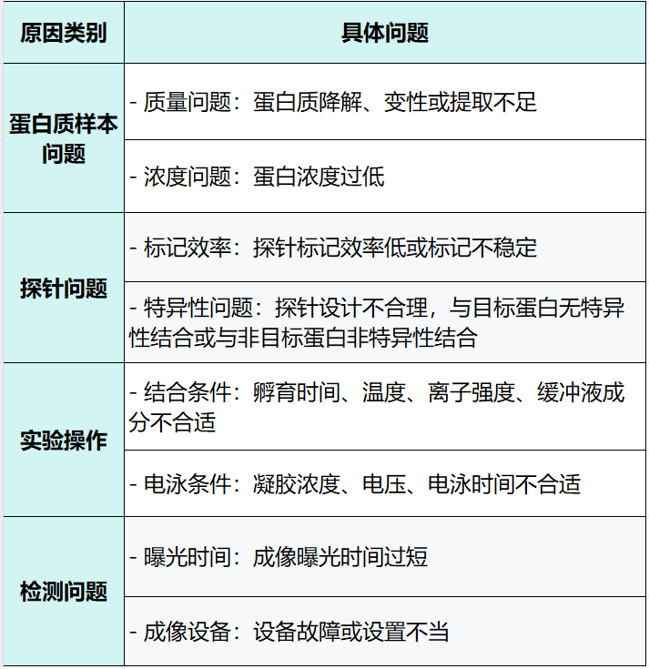 emsa电泳迁移